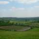 Field
