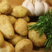 Recipes