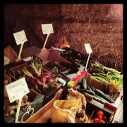veg shed