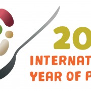 LOGO_IYP-en-high-horizontal